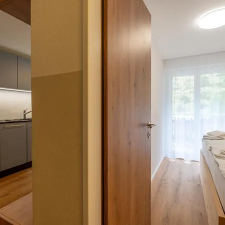 Apartment Alpin Bei Der Bergbahn